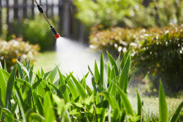 Tamper-Resistant Bait Stations for Rodents in Lemon Grove